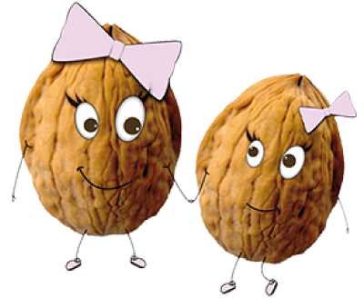 Petit logo Les 2 noix elles, femr pédagogique en Charente à Mainzac